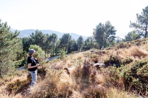 Amig@s do 'balcón da ría', por Antonio Costa