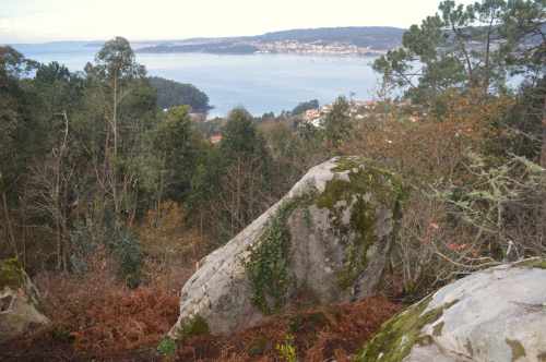 III Andaina Marabillas na casa, xaneiro 2018
