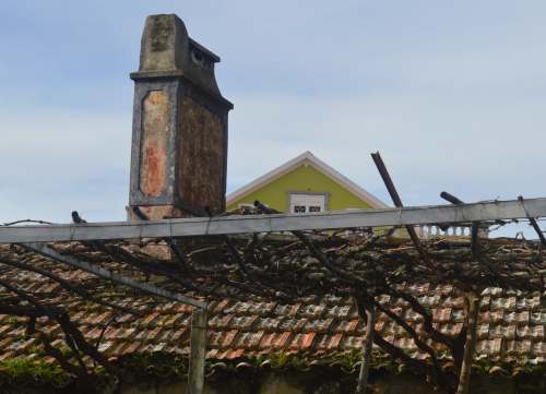 III Andaina das Marabillas na casa, xaneiro 2018