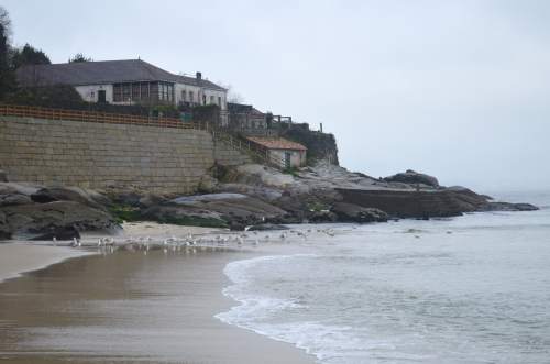 Antiga instalación de salgadura en Loira: Ruta por Sobareiro e A Cova coa Plataforma Montes do Morrazo