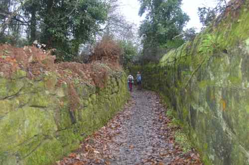 Ruta por Sobareiro e A Cova coa Plataforma Montes do Morrazo