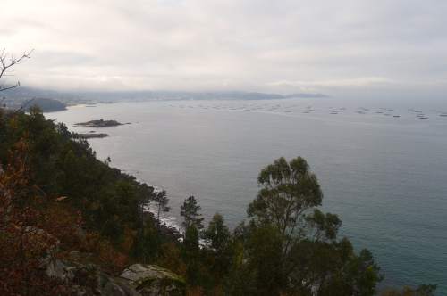 Ruta por Sobareiro e A Cova coa Plataforma Montes do Morrazo