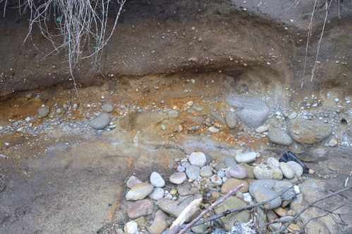 Ruta por Sobareiro e A Cova coa Plataforma Montes do Morrazo