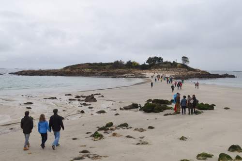 Illa do Santo: Ruta por Sobareiro e A Cova coa Plataforma Montes do Morrazo