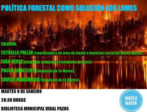Política forestal como solución aos lumes