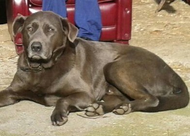 Leo, perdido na Moreira