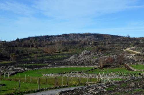 Ruta polos petróglifos de Amoedo, en Pazos de Borbén