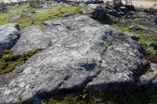 Petróglifos de Carballo das Pozas, Amoedo