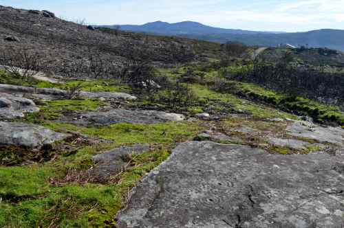Petróglifos da Matanza, Amoedo