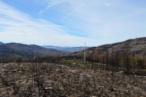 Ruta polos petróglifos de Amoedo, Pazos de Borbén