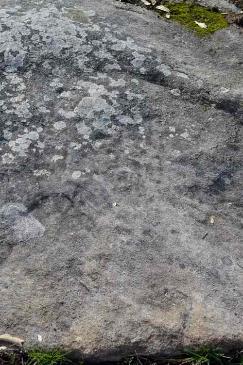 Petróglifo de Monte Espiño, Amoedo