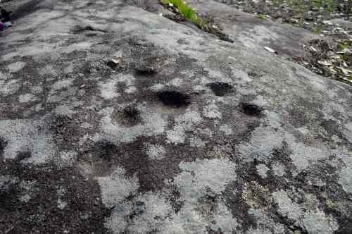 Petróglifos de Masusán, Amoedo