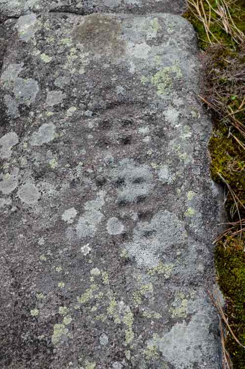 Petróglifos de Veiguiña Longa ou Rabadeira, en Amoedo