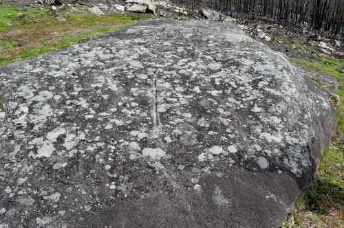 Cruz de Alvedosa, Amoedo