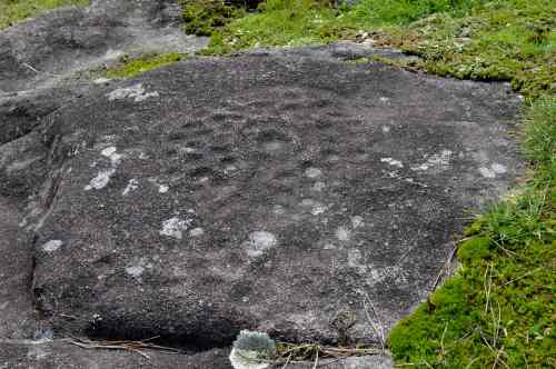 Petróglifo de Leghua Seca, Amoedo