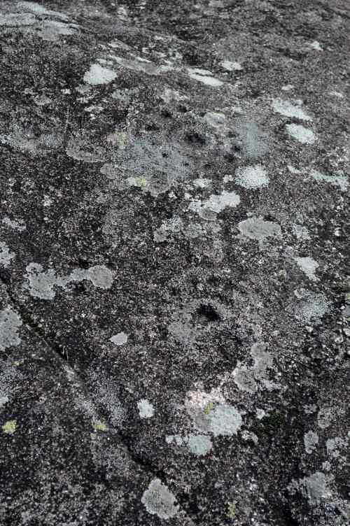 Petróglifo de Portelos do Coxo, Amoedo