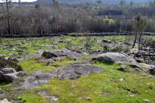 Petróglifo de Leghua Seca, Amoedo