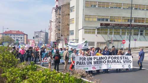 Manifestación Por un Plano Forestal: Compostela, abril 2018
