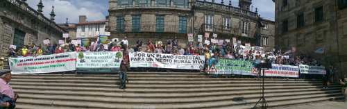 Manifestación Por un Plano Forestal: Compostela, abril 2018
