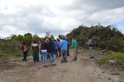 Monte de Couso, Gondomar
