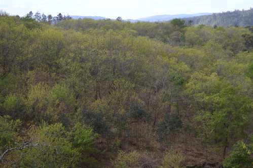 Monte de Couso, Gondomar