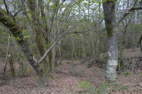 Monte de Couso, Gondomar