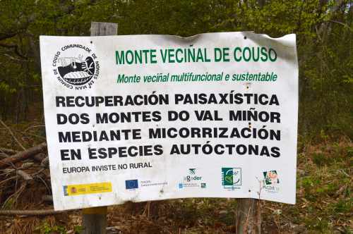 Monte de Couso, Gondomar