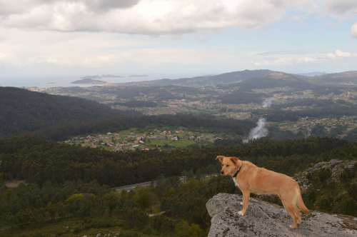 Monte de Couso, Gondomar