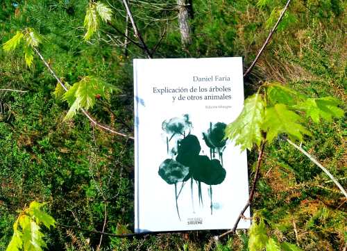 "Explicación de los árboles y de otros animales" (Ediciones Sígueme)