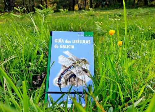 "Guía das libélulas de Galicia" (Baía Edicións)