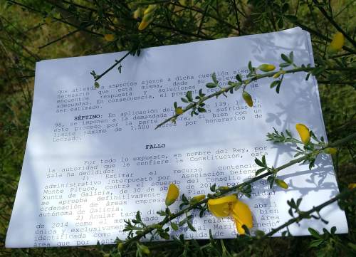 Sentenza firme e irrevocable do TSXG contra a Xunta