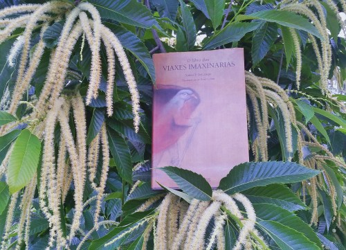 "O libro das viaxes imaxinarias"