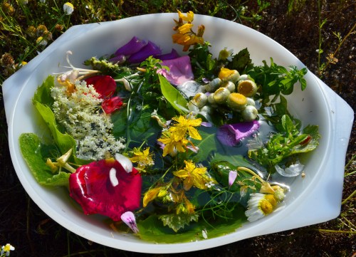 A tradición das plantas e das flores de San Xoán, no Monte Pituco