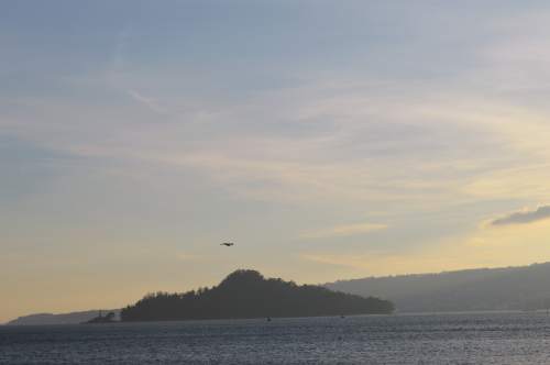 Marcha da APDR contra Ence-Elnosa, 2018