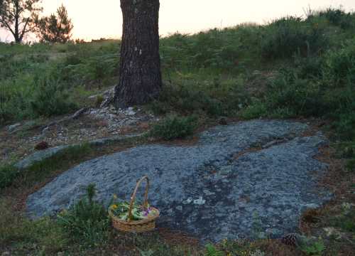 A tradición das plantas e das flores de San Xoán, no Monte Pituco