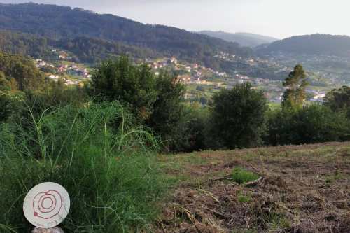 Representación do petróglifo d'A Pena, en cerámica