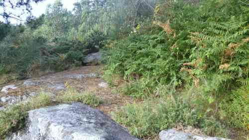 Estado do xacemento de Pinal de Caeiro a finais de xullo