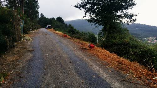 Tarefas de desbroce o 30 de xullo de 2018