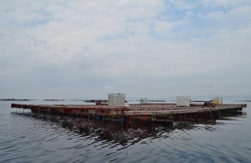 Itinerario pola costa d'A Illa ata o illote Areoso