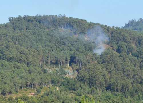 25 de xullo, incendio en Pardavila