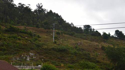 Tarefas de desbroce o 30 de xullo de 2018