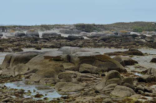 A mámoa nº4, en espazo restrinxido