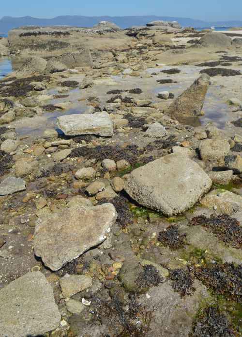 Visita ao illote Areoso, agosto 2018
