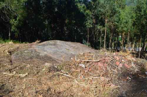 Petroglifo da Moreira sepultado por un verquido ilegal