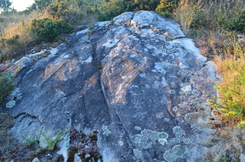 Petróglifo de Sete Camiños