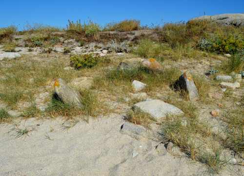 Visita ao illote Areoso, agosto 2018
