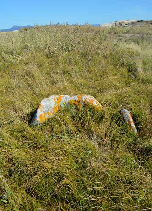 Visita ao illote Areoso, agosto 2018