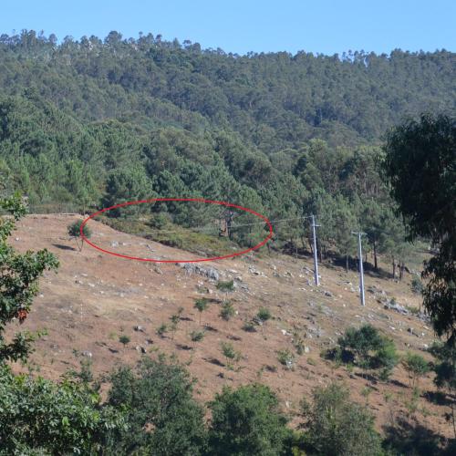 Dentro da marca en vermello, a área do petróglifo de Pinal de Caeiro