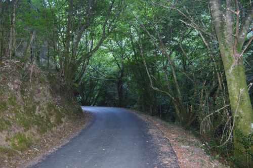 Ruta do Río Belelle, Neda