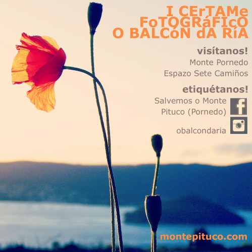 I Certame Fotográfico 'O Balcón da Ría'